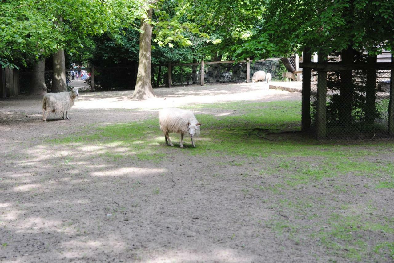 Helle Nichtraucherwohnung 69Qm Zwischen Koeln Und Duesseldorf ดอร์มาเกิน ภายนอก รูปภาพ